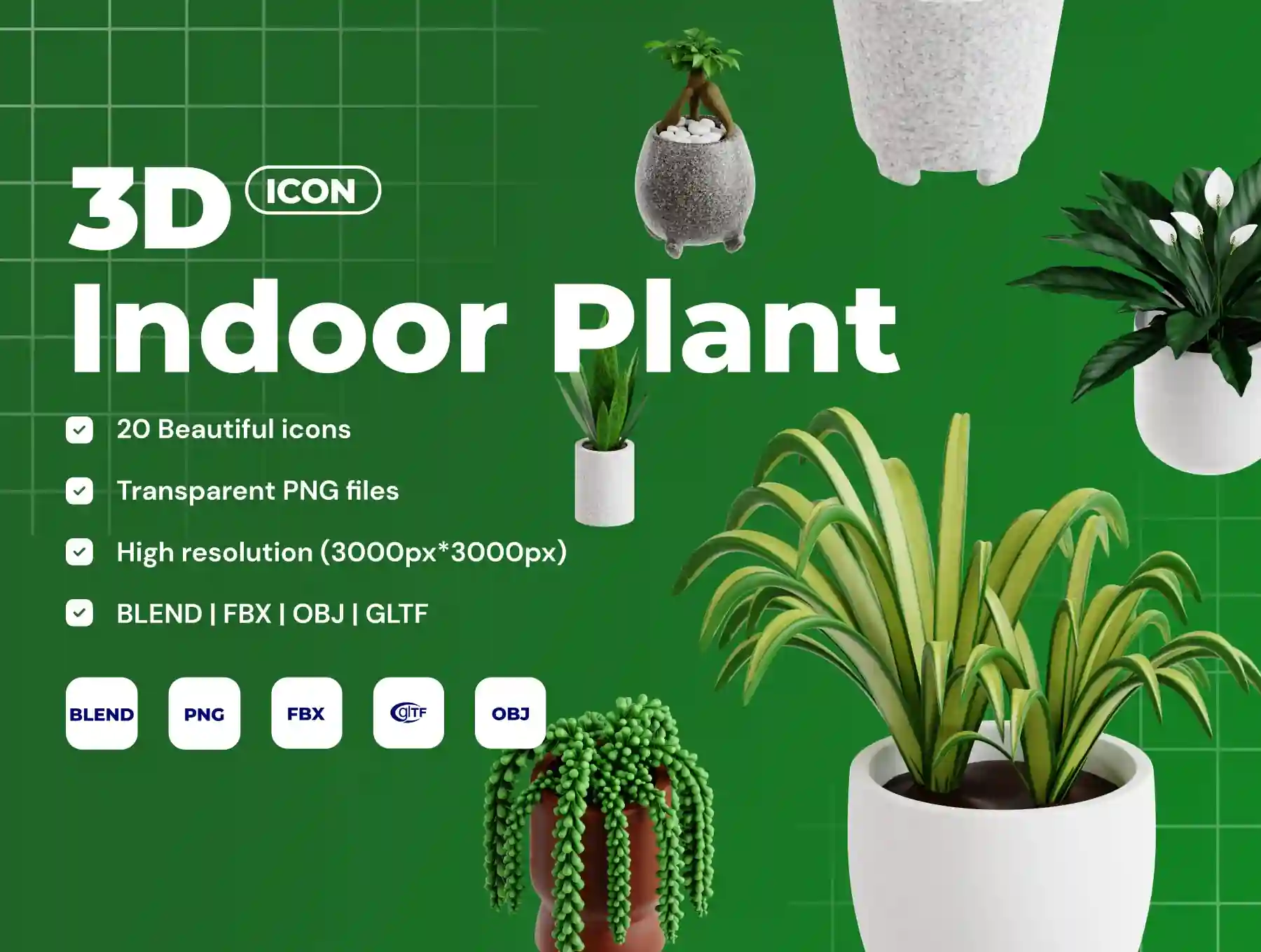 Indoor Plants 3D Icon Set